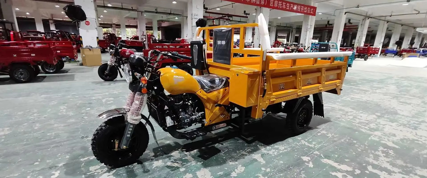 余暇の電気三輪車