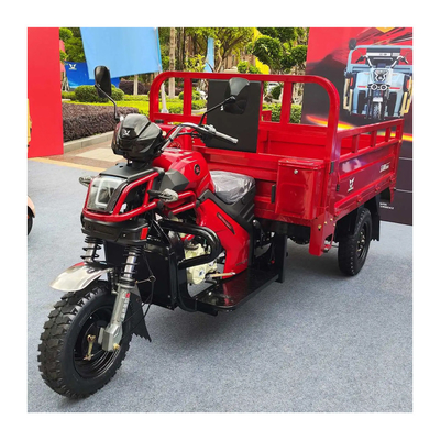 パキスタン で の 3 輪 の ガソリン エンジン の サイド カー の 三輪 車 操作 や メンテナンスの 容易 な 車