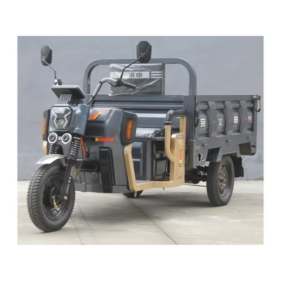 1000W モーター 3輪 貨物 電動 三輪 自転車 大人 1 乗用 オープン カーディタイプ