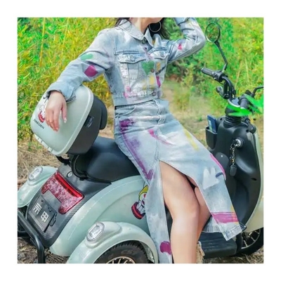 オープンボディタイプ 48V 500W 電動3輪バイク 三輪車 トゥック・トゥック 電気自動車 インド